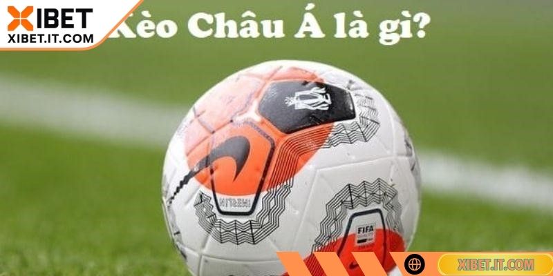 Kèo Châu Á XIBET Hôm Nay Cá Cược Bóng Đá Cập Nhật Liên Tục Khám phá tổng quát kèo châu á XIBET hôm nay
